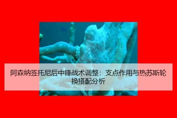 a-sen-na-qian-tuo-ni-hou-zhong-feng-zhan-shu-tiao-zheng-zhi-dian-zuo-yong-yu-re-su-si-lun-huan-da-pei-fen-xi-2-666.jpg