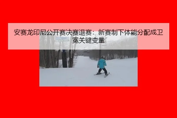 an-sai-long-yin-ni-gong-kai-sai-jue-sai-tui-sai-xin-sai-zhi-xia-ti-neng-fen-pei-cheng-wei-mian-guan-jian-bian-liang-2-849.jpg